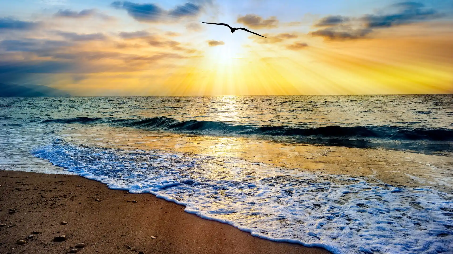 vivir el bautismo- playa al atarceder con gaviota volando